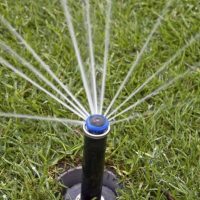 7152139968bbe887a8e1adbbbade6b54