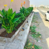 WhatsApp Image 2025-10-01 at 11.01.05 PM