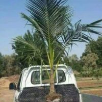 WhatsApp Image 2025-10-01 at 11.09.05 PM (1)