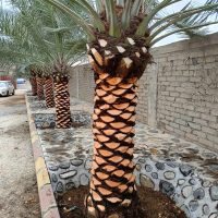 WhatsApp Image 2025-10-01 at 11.09.28 PM (1)