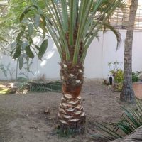 WhatsApp Image 2025-10-01 at 11.09.33 PM