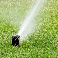 b2878323b75b01788106f59c1c0fd11a