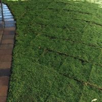 fc235288a7906a965aa5705ab2e0ab73