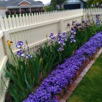 زراعة-الورود-والنباتات-بجدة6