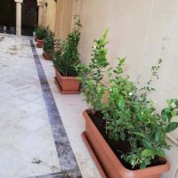 صورة واتساب بتاريخ 1447-04-17 في 13.18.14_107a66e1