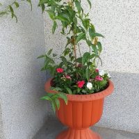 صورة واتساب بتاريخ 1447-04-17 في 13.18.15_740f5bb1