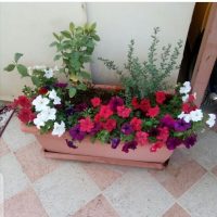 صورة واتساب بتاريخ 1447-04-17 في 13.18.15_c4d914e5