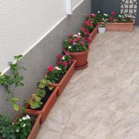 صورة واتساب بتاريخ 1447-04-17 في 13.18.17_3fbd4b66