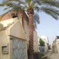 صورة واتساب بتاريخ 1447-04-30 في 00.24.05_7d08cdb7