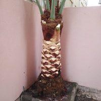 صورة واتساب بتاريخ 1447-04-30 في 00.24.06_2bc70e83