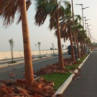 صورة واتساب بتاريخ 1447-04-30 في 00.24.10_3313837d